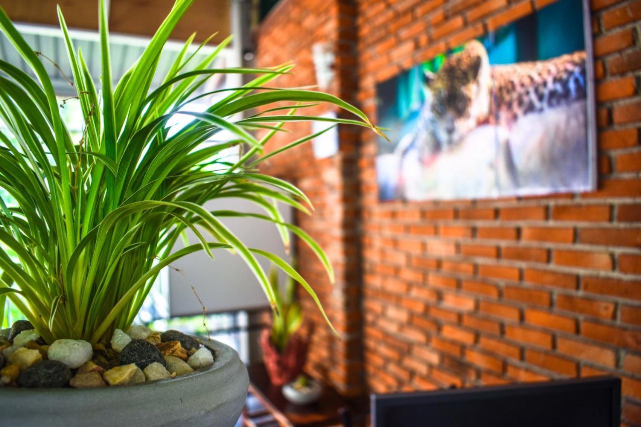 Myr-O Homestay Kombichankulama Exteriör bild